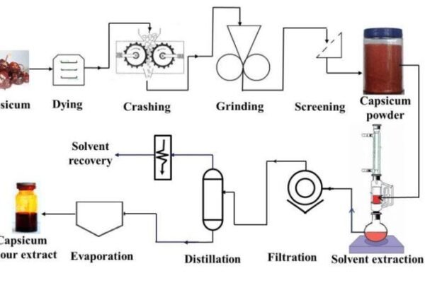 What Are Oleoresins? A Complete Guide for Food Manufacturers