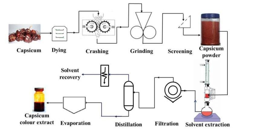 What Are Oleoresins? A Complete Guide for Food Manufacturers